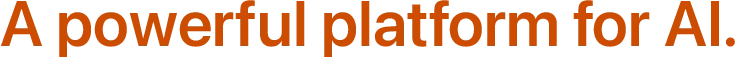 A powerful platform for AI.