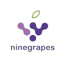 NineGrapes Boosts Creative Output with Apple Setup
